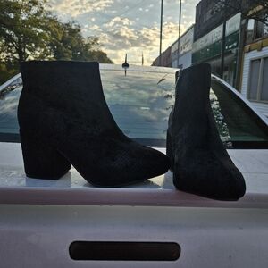 Celebrity Pink Black Ankle Booties